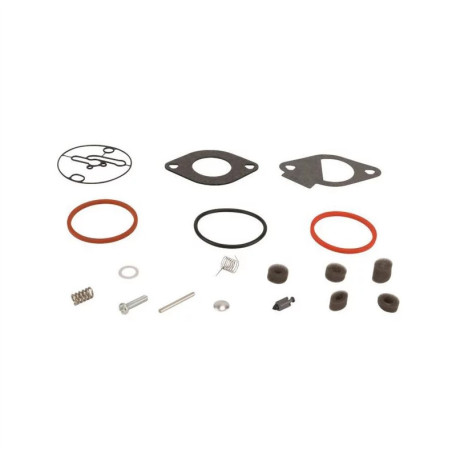 Kit réparation Briggs et Stratton - Nikki 796184