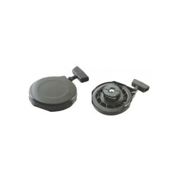 Lanceur BRIGGS ET STRATTON 499706