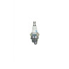 Bougie NGK BPMR7A - CHAMPION RCJ6Y - RCJ8Y - CHRCJ6Y - CHRCJ8Y - TASHIMA 2209840 - 2209843