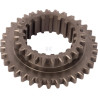 Pignon GOLDONI 00017427