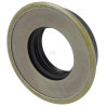 Bague PUBERT 0002010086