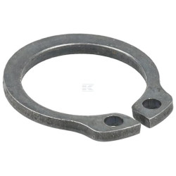 Circlip GIANNI FERRARI 00111650004