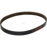 Courroie CLAAS 0009848851