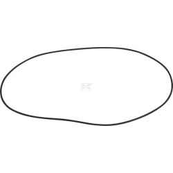 Bague SPICER DANA 001052945