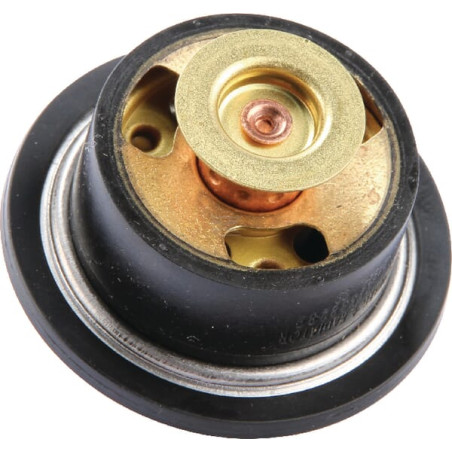 Thermostat CLAAS 0011738580