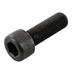 Boulon de lame WOLF-GARTEN 0011420