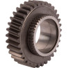 Engrenage SDF 001183840