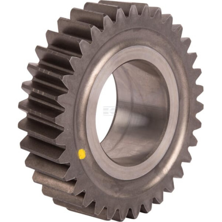 Engrenage SDF 001183840