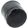 Filtre STIHL 00040209602