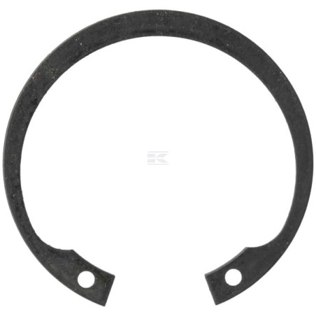 Circlip GIANNI FERRARI 0003010047