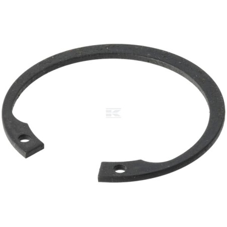 Circlip GIANNI FERRARI 0003010047