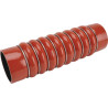Flexible SDF 001873820