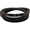 Courroie GIANNI FERRARI 0017000310