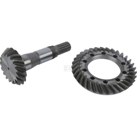 Conical SDF 000848493