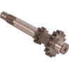 Pignon GOLDONI 00066301