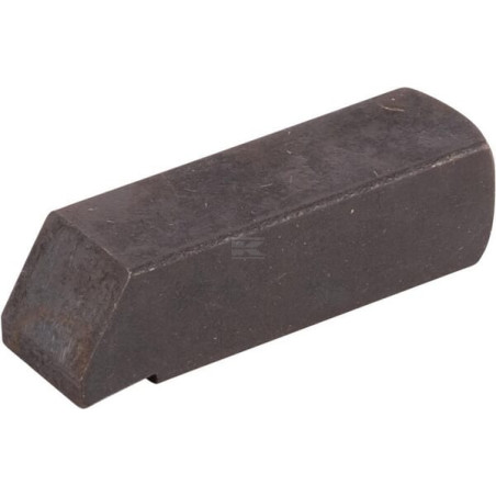Dent de cliquet SDF 00073835010