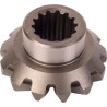 Engrenage de transmission GOLDONI 00066649