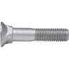 Vis HORSCH 00310068