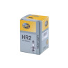 Ampoule RAICO 002088271