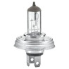 Ampoule RAICO 002088271