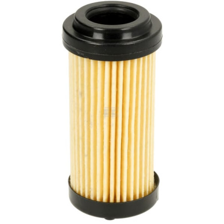 Filtre GIANNI FERRARI 0032030010