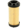 Filtre GIANNI FERRARI 0032030010