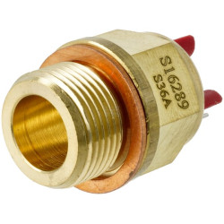 Interrupteur thermique GIANNI FERRARI 0054100056