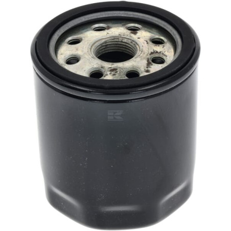 Filtre hydraulique GIANNI FERRARI 0032000080