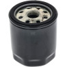 Filtre hydraulique GIANNI FERRARI 0032000080