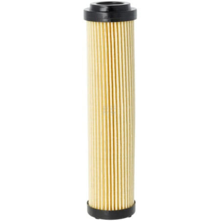Filtre GIANNI FERRARI 0032030015