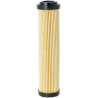 Filtre GIANNI FERRARI 0032030015