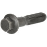Boulon DEUTZ 01148737