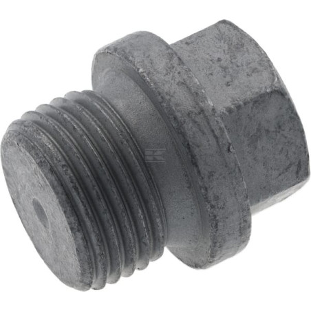 Bouchon fileté DEUTZ 01149198
