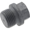 Bouchon fileté DEUTZ 01149198