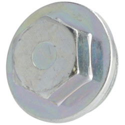 Bouchon fileté DEUTZ 01149287