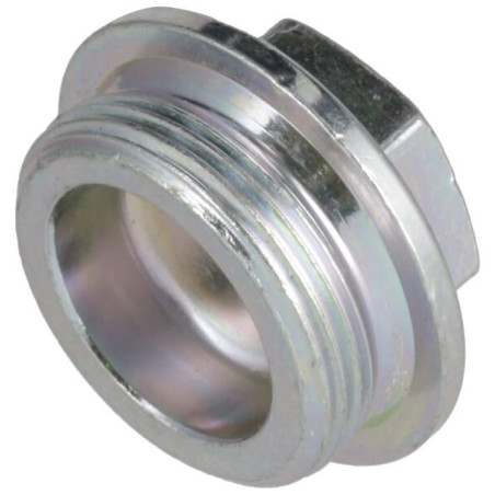 Bouchon fileté DEUTZ 01149287