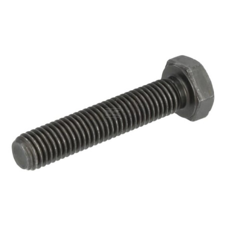 Boulon DEUTZ 01136977