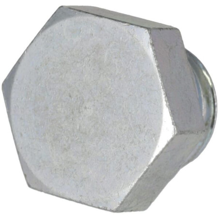 Bouchon fileté DEUTZ 01149277