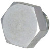Bouchon fileté DEUTZ 01149277