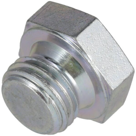 Bouchon fileté DEUTZ 01149277