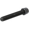 Boulon DEUTZ 01179465