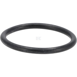 Joint torique DEUTZ 01179881