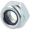 Écrou AGRIA 00665