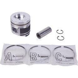 Piston SDF 00870060A