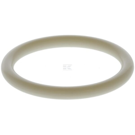 Joint torique DEUTZ 01169585