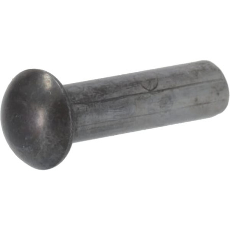Rive AGRIA 01739