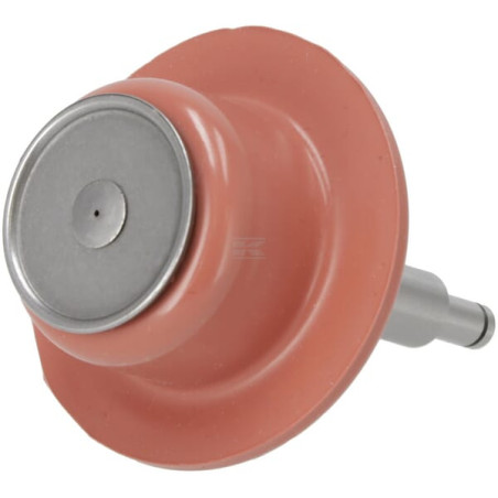 Membrane DEUTZ 02113543
