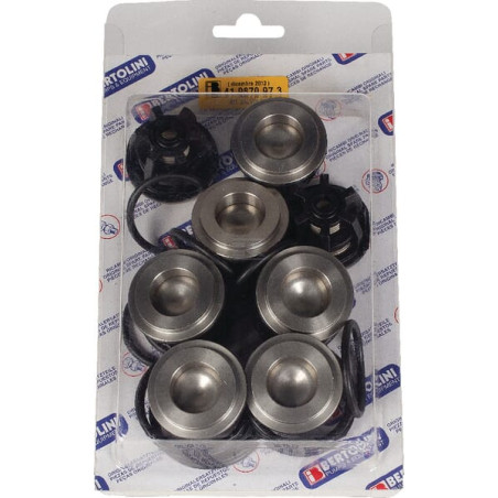 Clapet anti-retour BERTOLINI 019826973