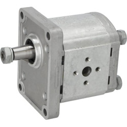 Pompe hydraulique GOLDONI 02030029