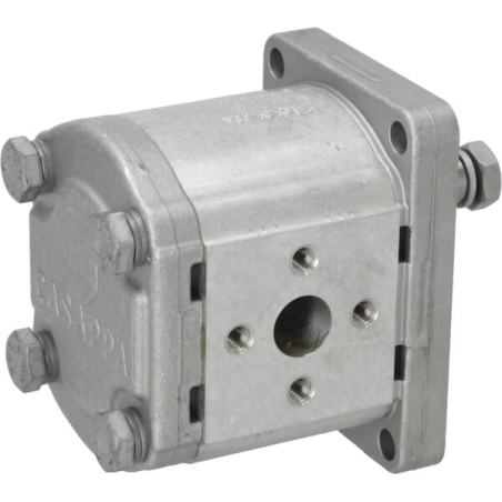 Pompe hydraulique GOLDONI 02030029